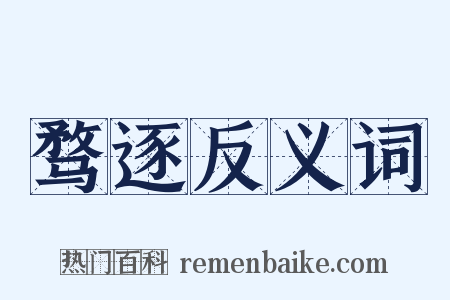 骛逐反义词是什么意思的图片